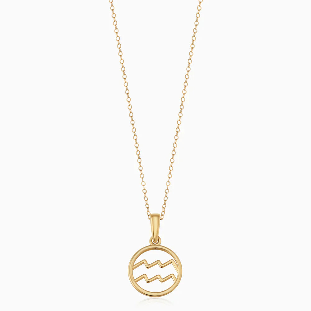 Zodiac sign ketting | Goud