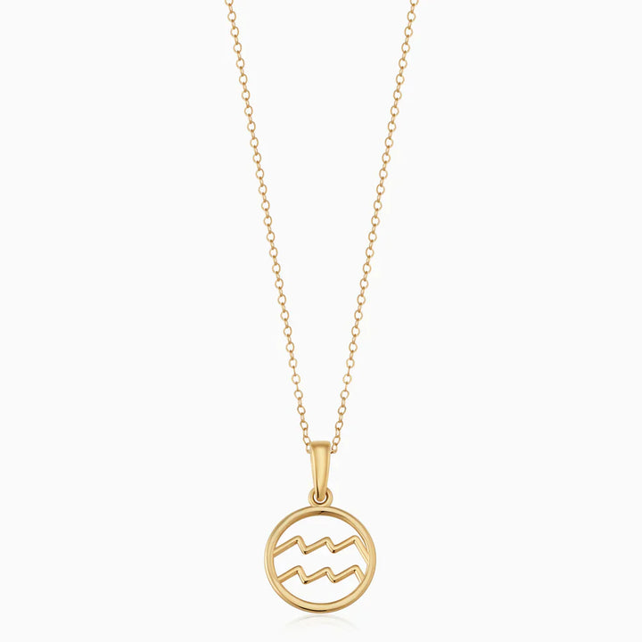 Zodiac sign ketting | Goud