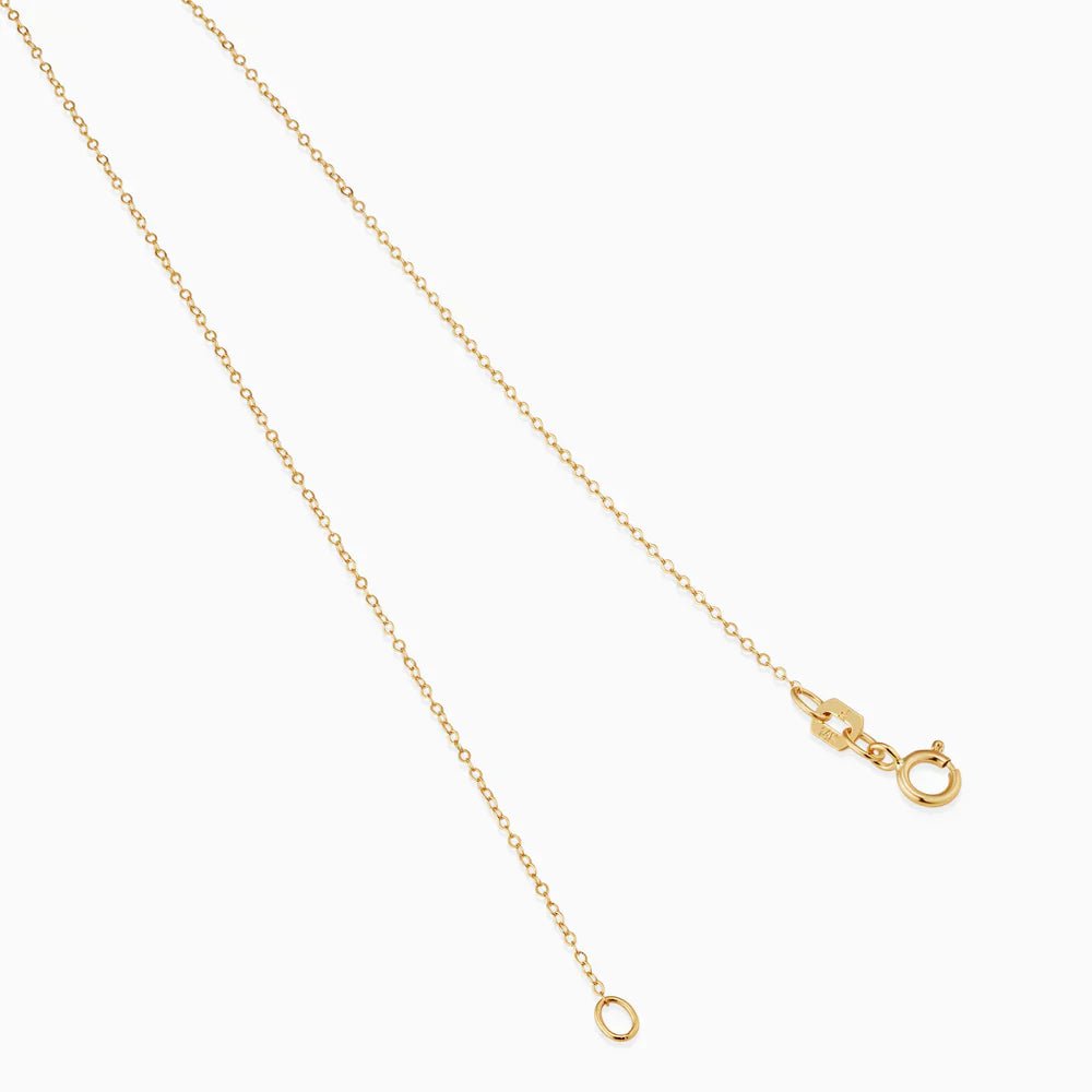 Zodiac sign ketting | Goud